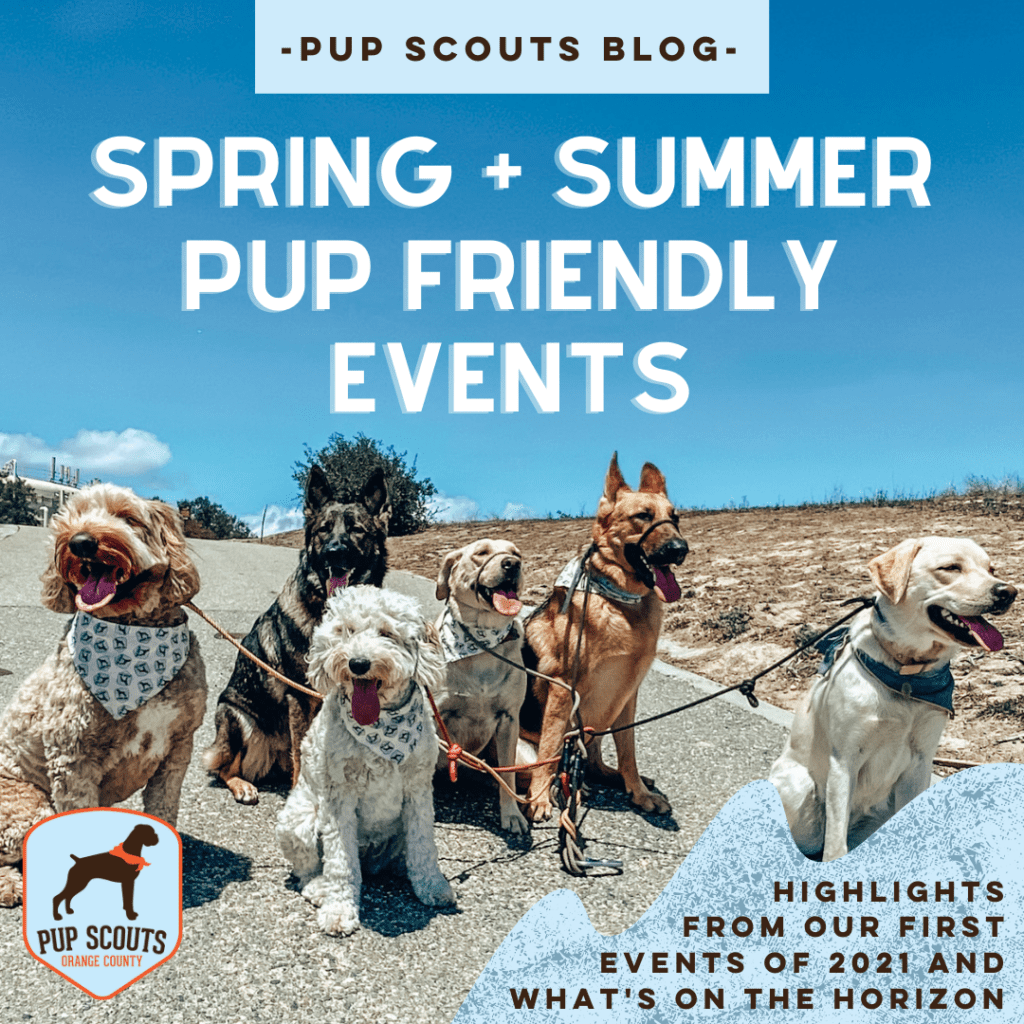 pup friendly event