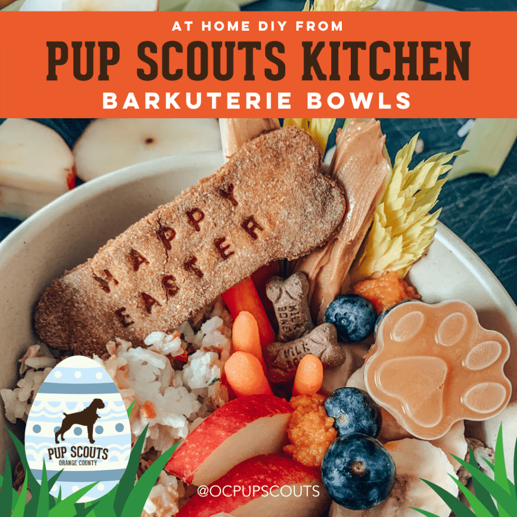 pup scouts kitchen