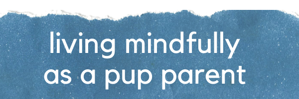 living mindfully as a pup parent