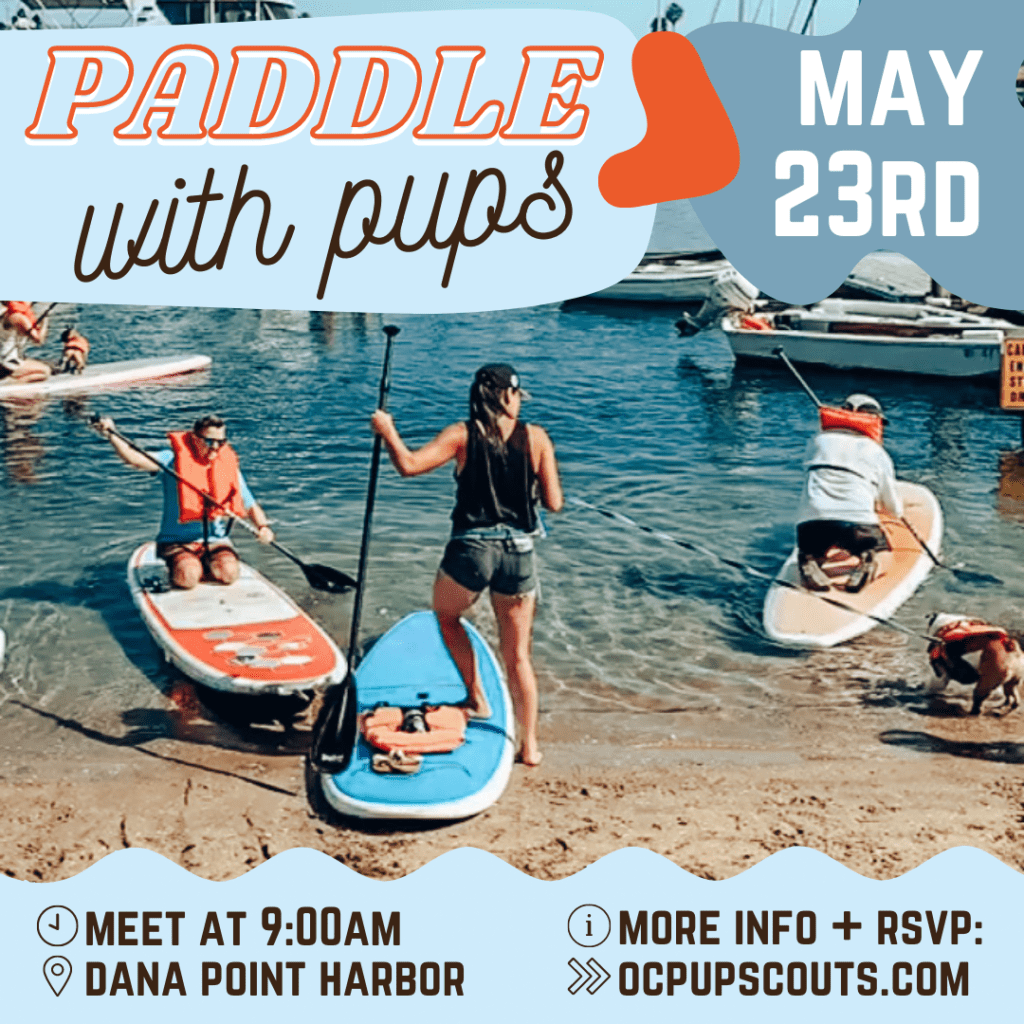 paddle with pups