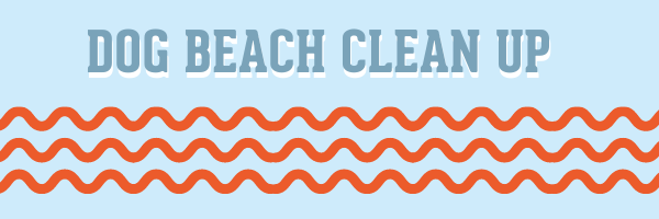 dog beach clean up