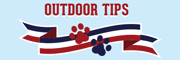 dog outdoor tips