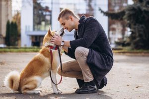 young man kneeling next to his Akita dog