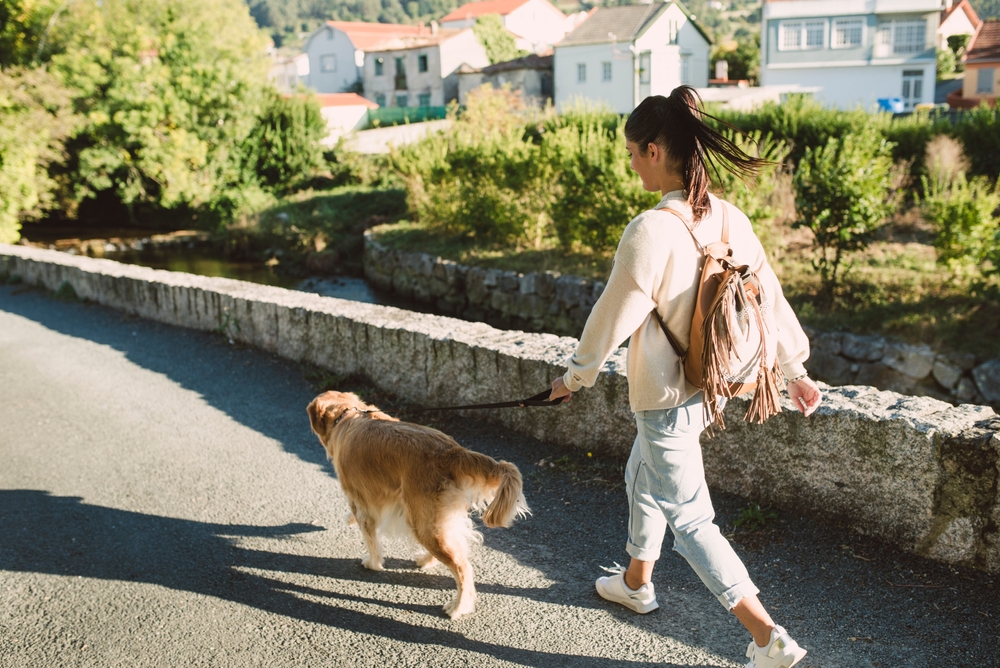 Woman walking with her golden retriever dog on a road