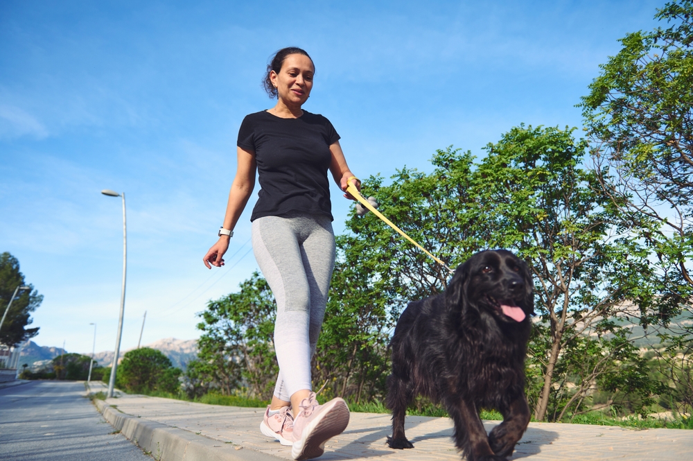 View from the bottom of a multi ethnic happy young woman in sports clothes, walking her dog on leash