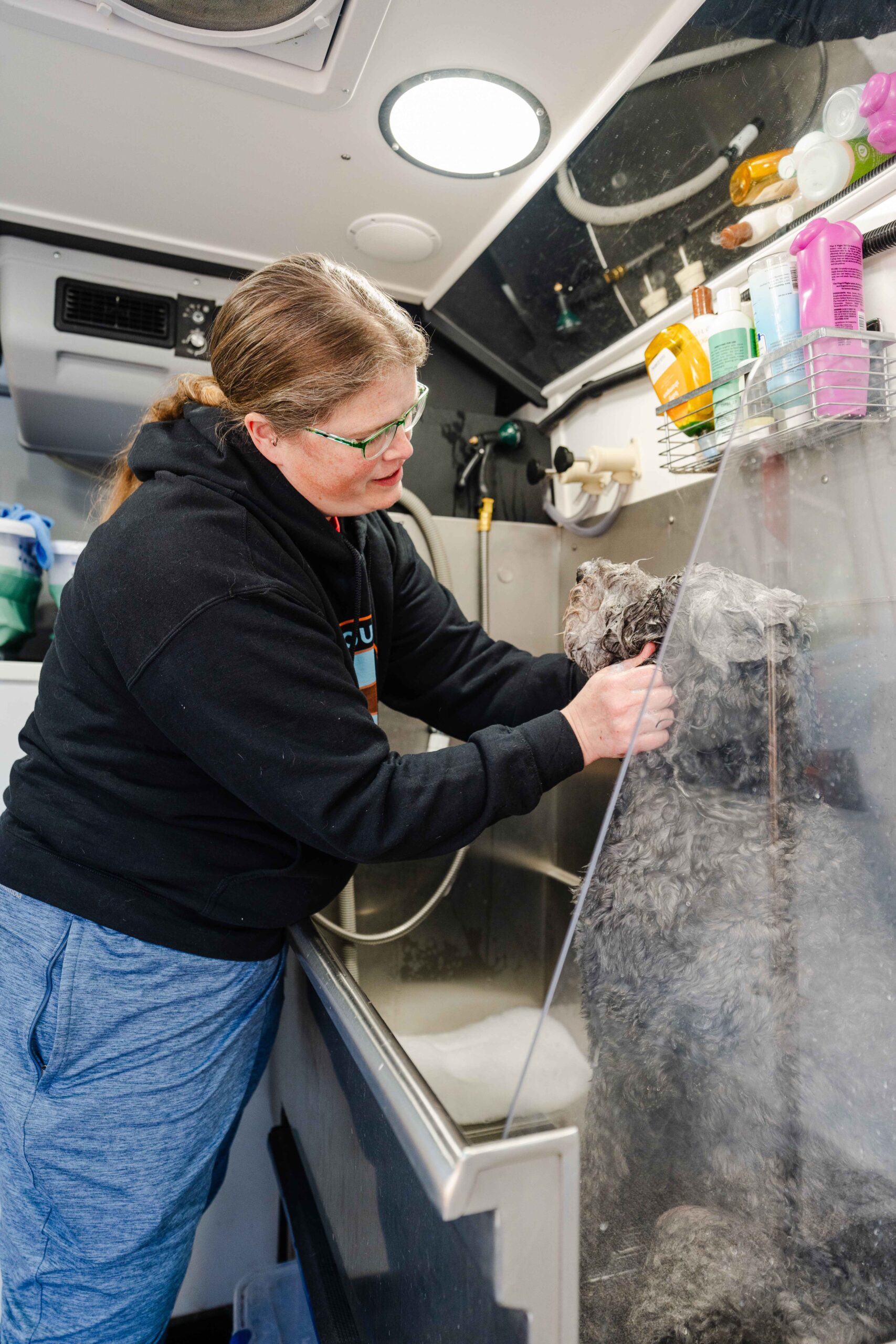 Professional mobile dog groomer trimming a dog's fur inside a mobile grooming van.